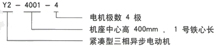 YR系列(H355-1000)高压YR5604-10/560KW三相异步电机西安西玛电机型号说明